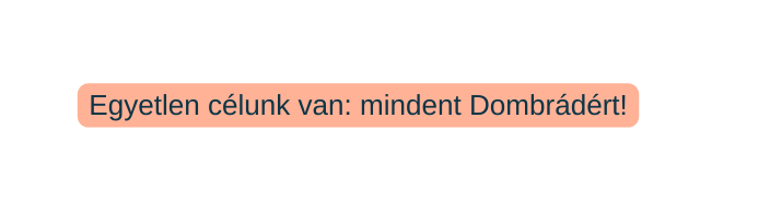 Egyetlen célunk van mindent Dombrádért